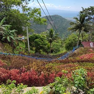 Island Skyview Resort - Jvr By Hiverooms